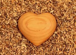 Corazón