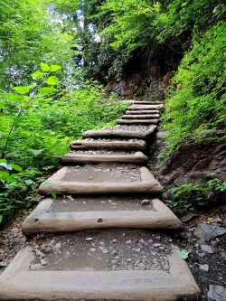 Escaleras naturaleza