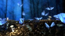 imagen de un grupo de mariposas azules en el bosque